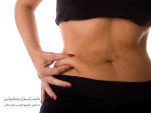 چربی‌های زیر جلدی و احشایی