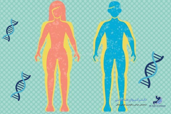 انواع چاقی ارثی