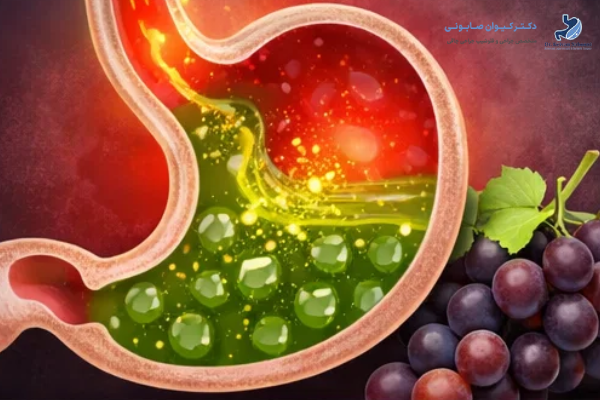 ترکیبات انگور و تاثیر آنها بر دستگاه گوارش
